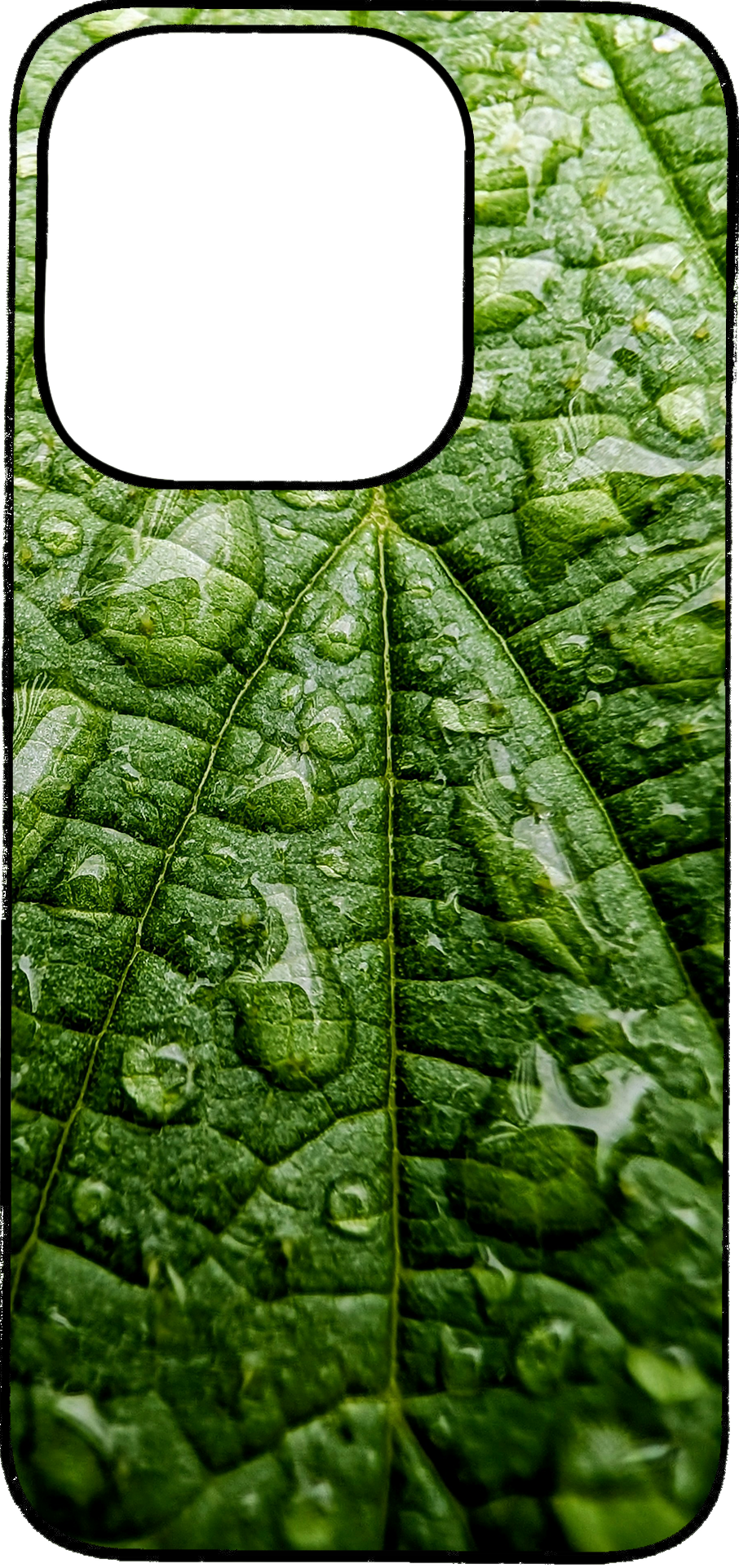Honor 400 lite
