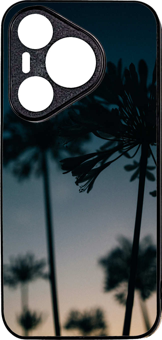 Huawei Pura 70 pro